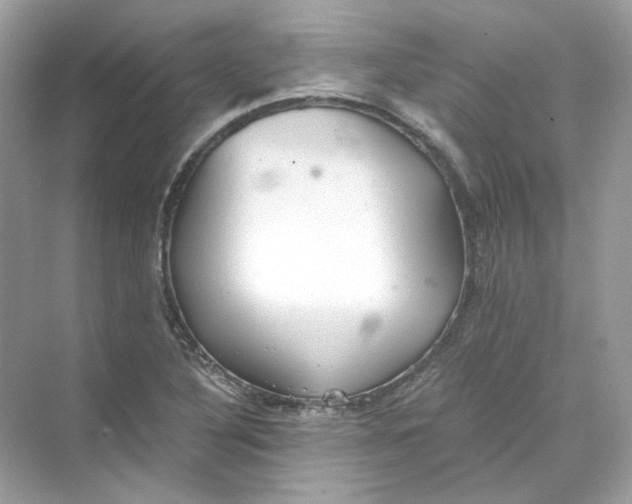 X0000069811316200606091824