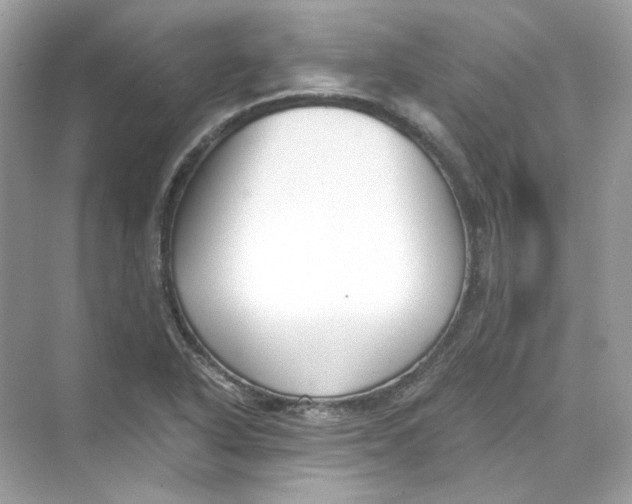 X0000069811318200606091825