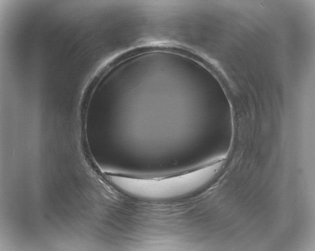 X0000069811319200606091825