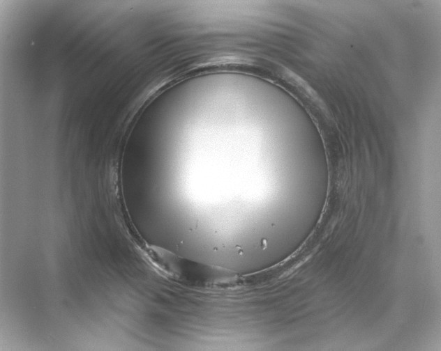 X0000069811321200606091825