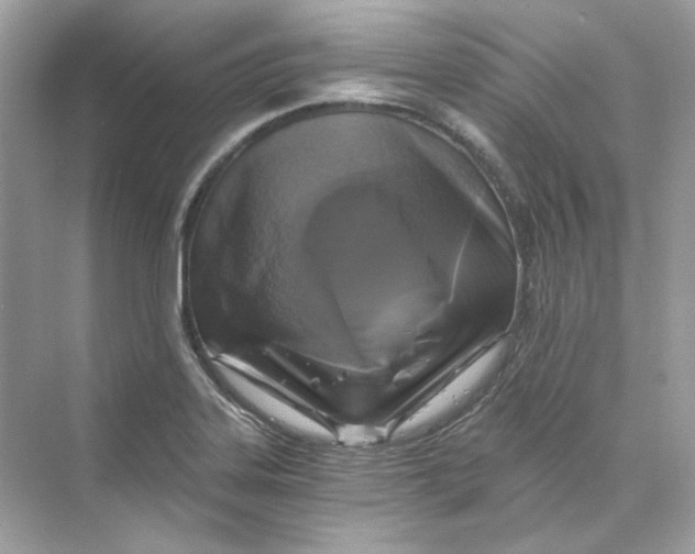 X0000069811323200606091825