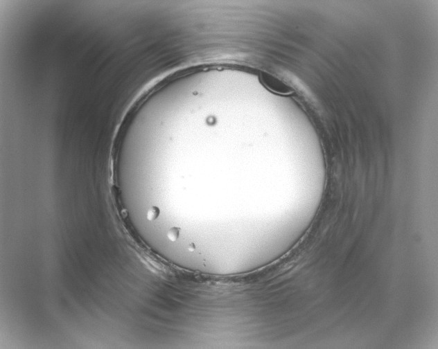 X0000069811324200606091825