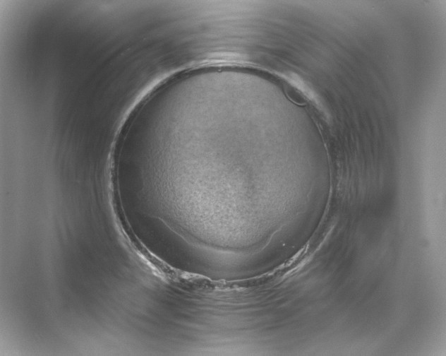 X0000069811325200606091825