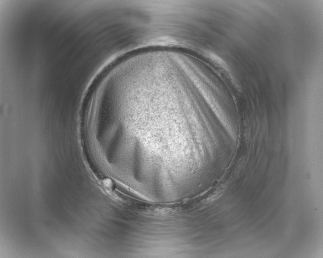 X0000069811326200606091825