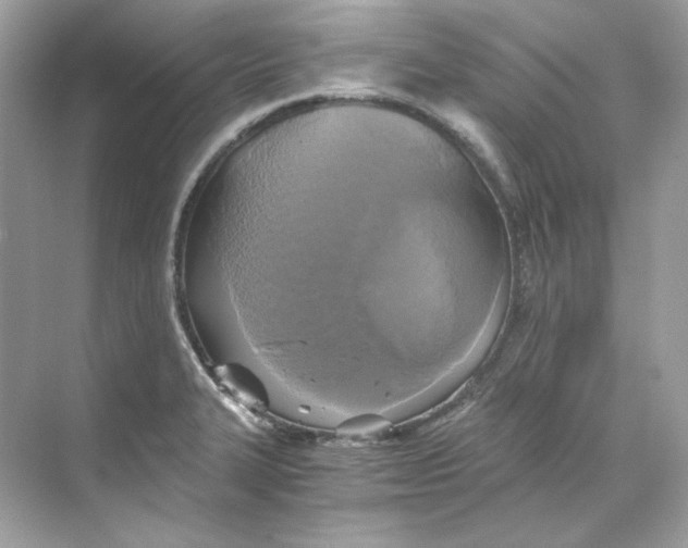 X0000069811327200606091825