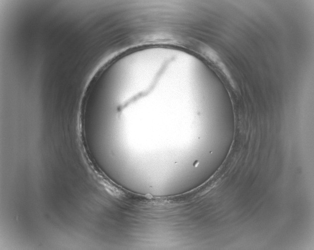 X0000069811328200606091825