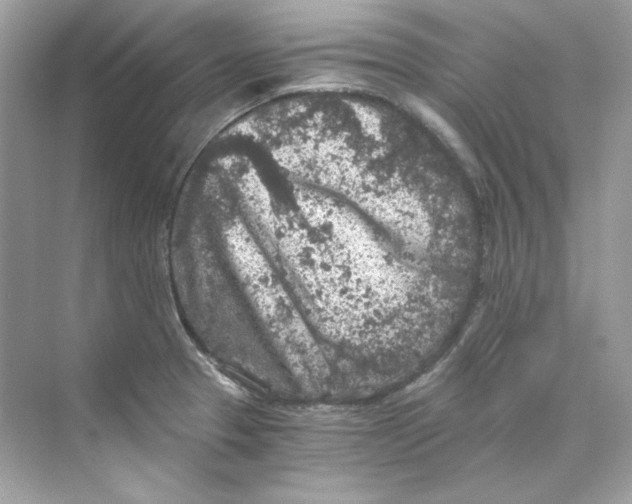 X0000069811329200606091825