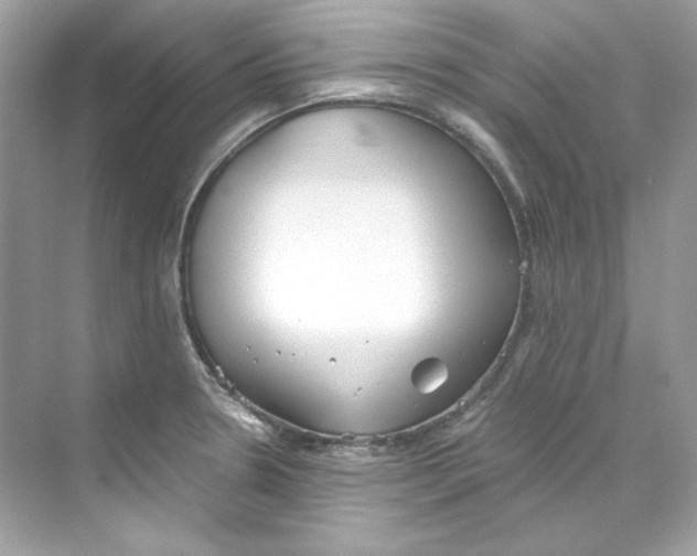 X0000069811330200606091825