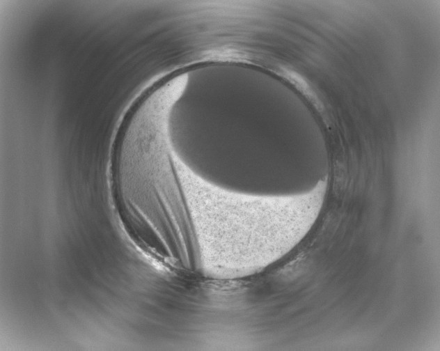 X0000069811331200606091825