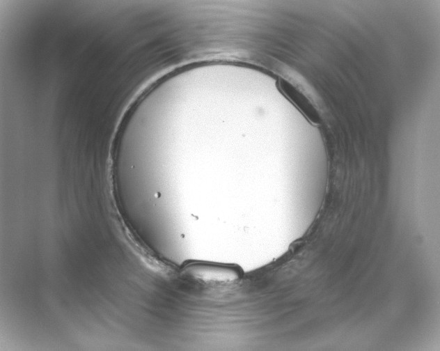 X0000069811332200606091825