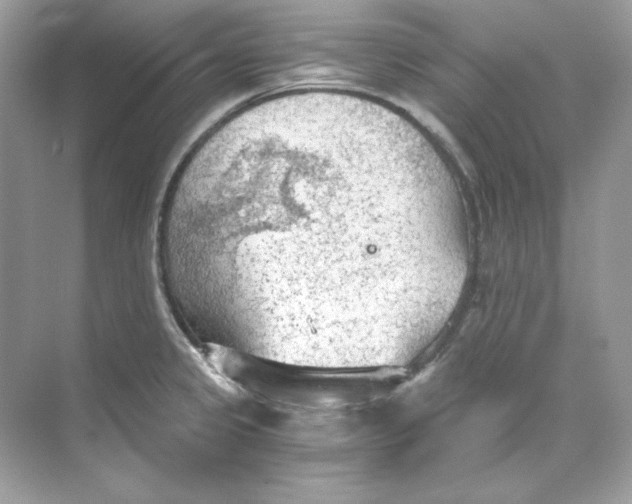 X0000069811333200606091825