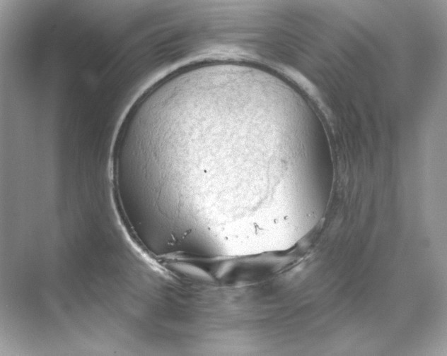 X0000069811335200606091825