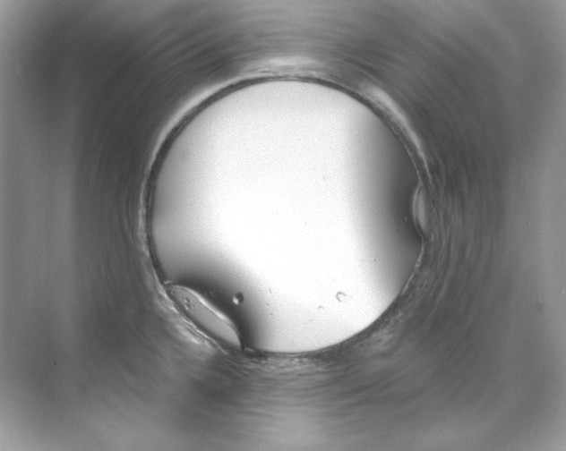 X0000069811336200606091825