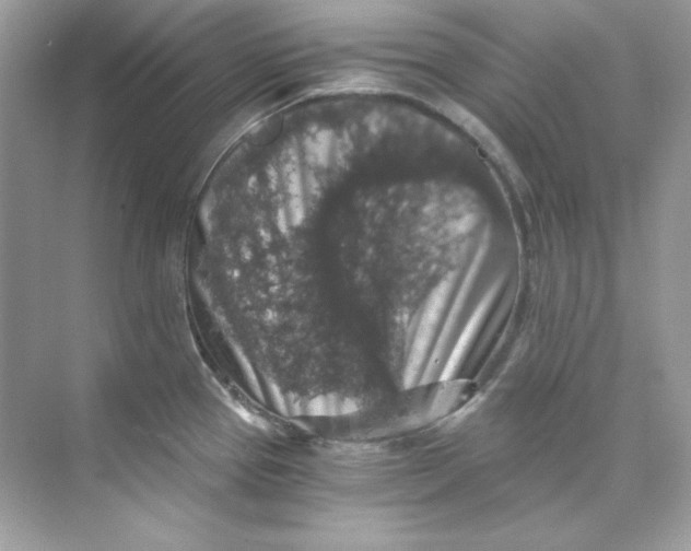 X0000069811337200606091825