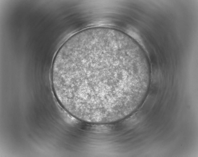 X0000069811338200606091825