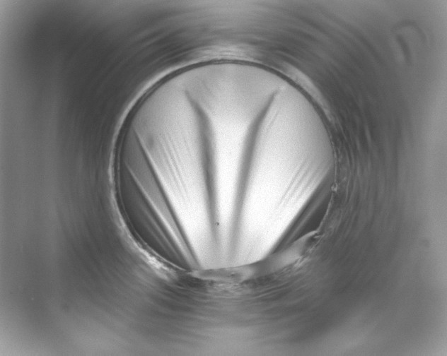 X0000069811339200606091825