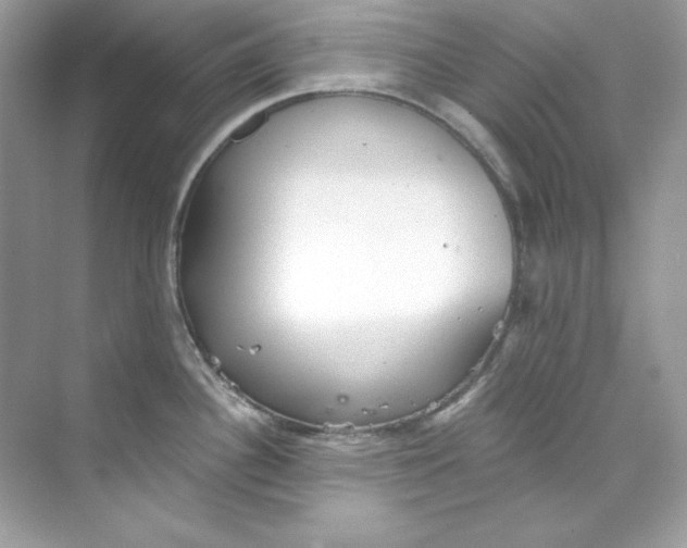 X0000069811340200606091825