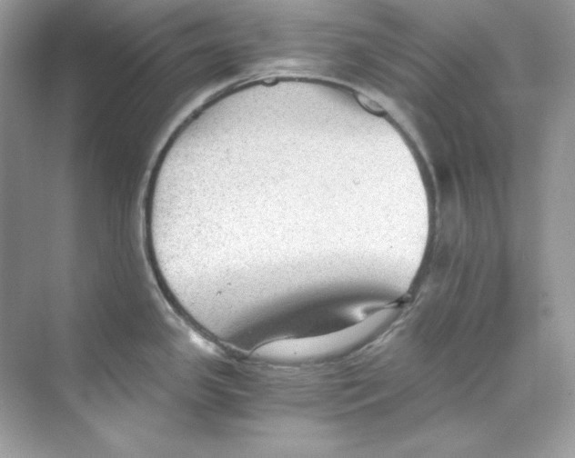 X0000069811341200606091825