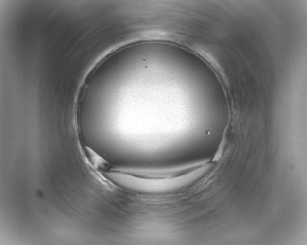 X0000069811342200606091825