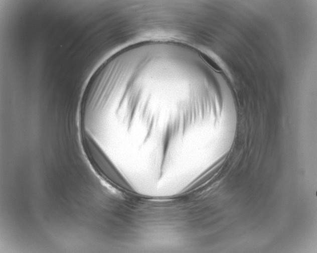 X0000069811343200606091825