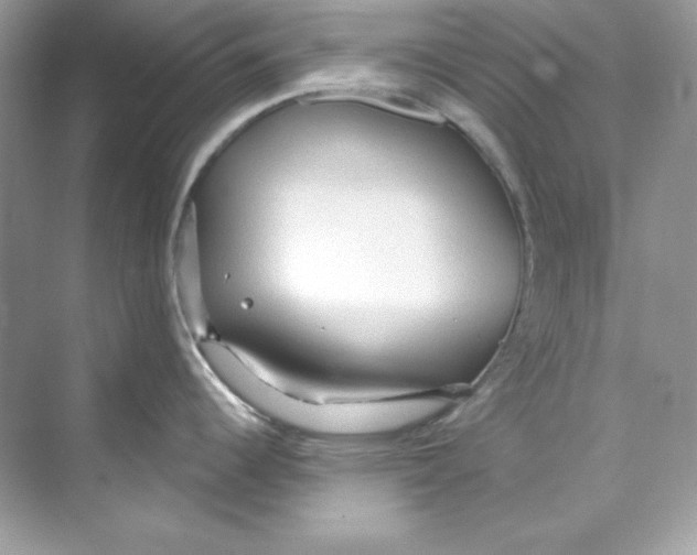 X0000069811344200606091825