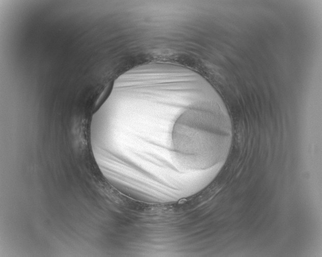 X0000069811346200606091824