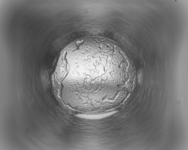 X0000069811347200606091824