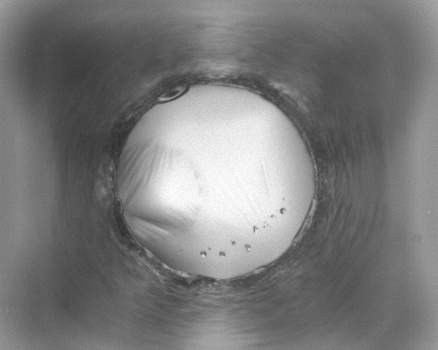 X0000069811349200606091824