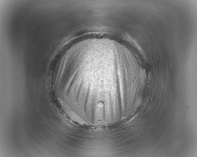 X0000069811352200606091824