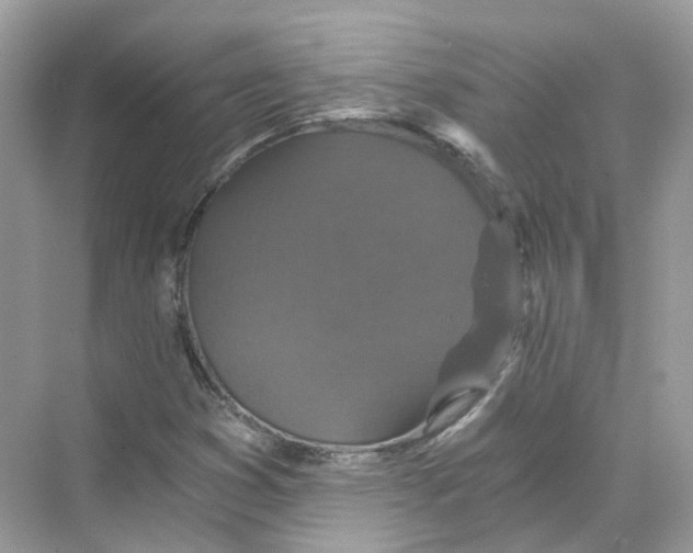 X0000069811353200606091824