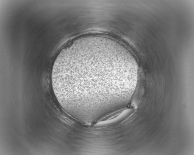 X0000069811355200606091824