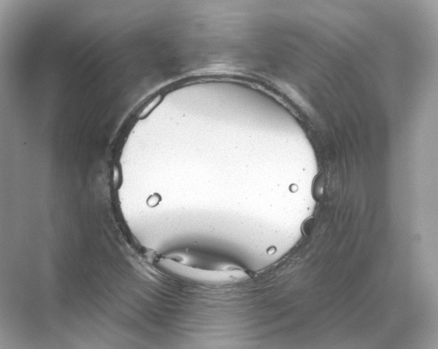 X0000069811356200606091824