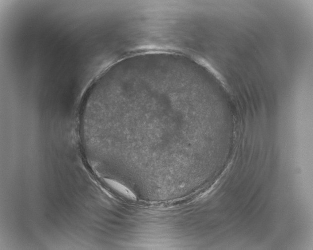 X0000069811357200606091824