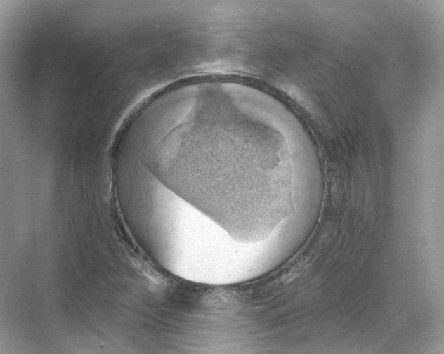 X0000069811358200606091824