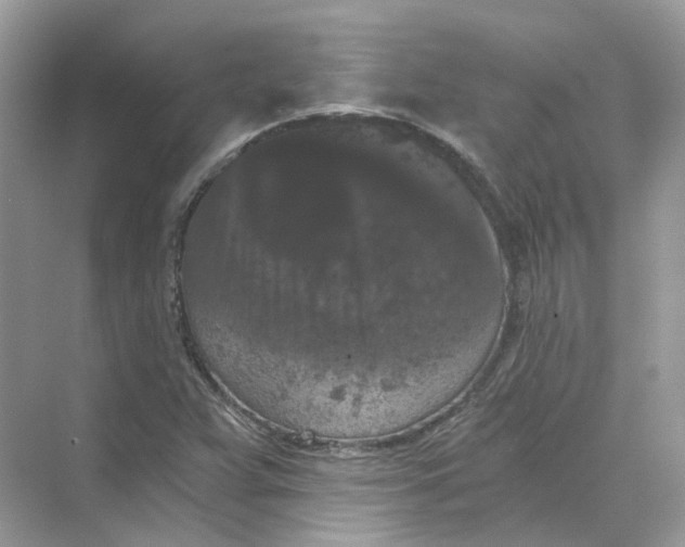 X0000069811359200606091824