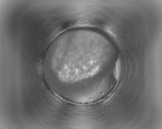 X0000069811361200606091824