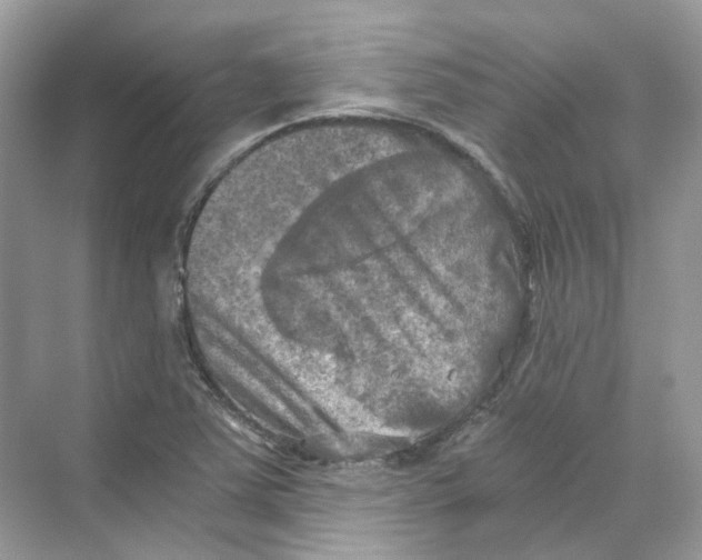 X0000069811363200606091824