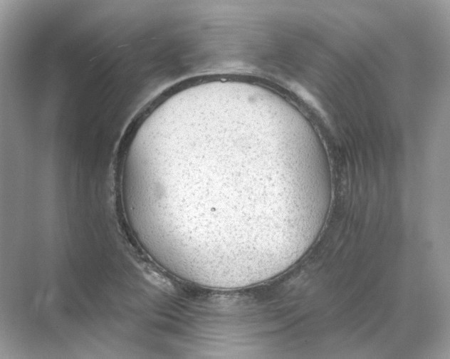 X0000069811364200606091824