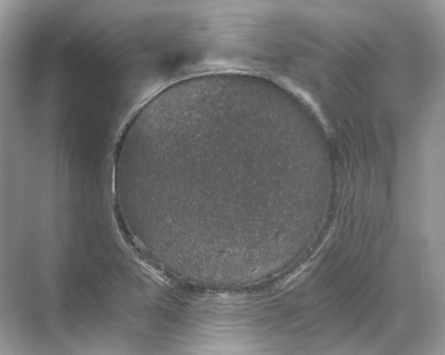 X0000069811365200606091824