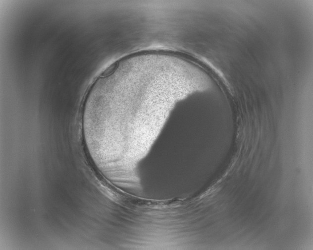 X0000069811367200606091824