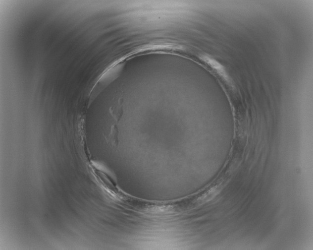 X0000069811369200606091824