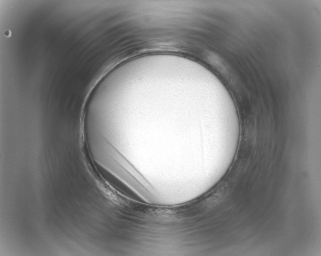 X0000069811370200606091824