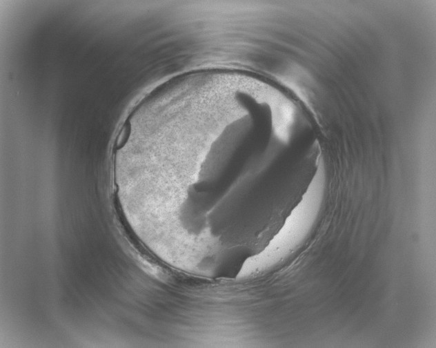 X0000069811371200606091824