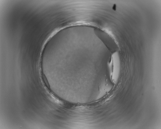 X0000069811373200606091824