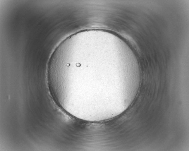 X0000069811374200606091824