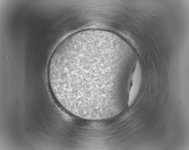 X0000069811375200606091824