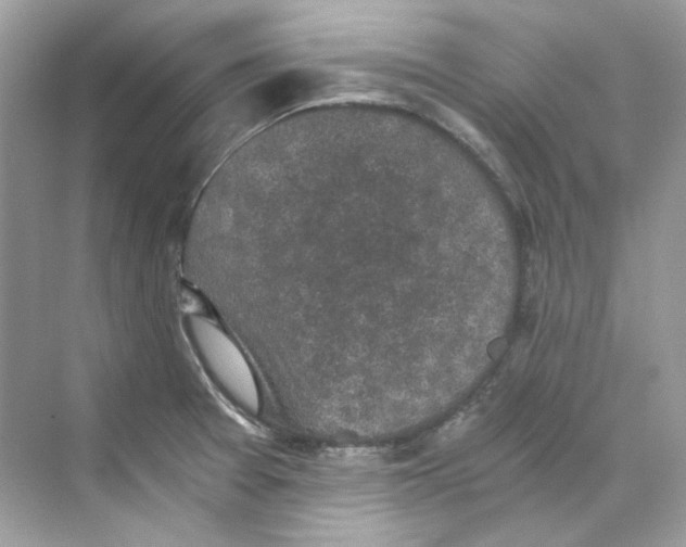 X0000069811377200606091824