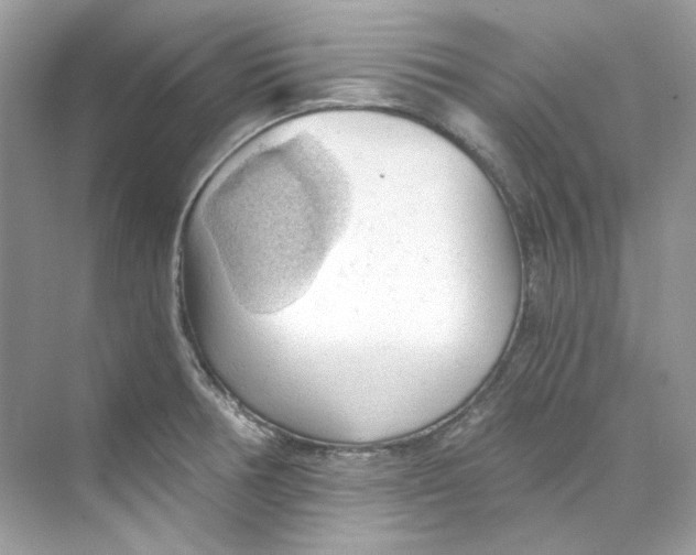 X0000069811378200606091824