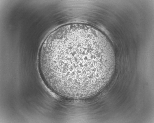 X0000069811379200606091824