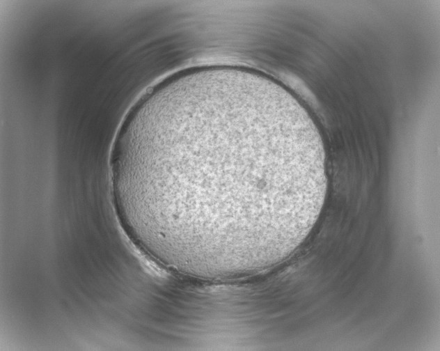 X0000069811380200606091824